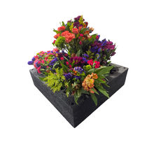 Load image into Gallery viewer, EPE Floral Arrangement Transport Tray, 5 Holes, 24 x 24 x 9 inches, Black, Adjustable for 2-8 inch Vases
