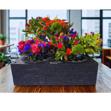 Load image into Gallery viewer, EPE Floral Arrangement Transport Tray, 5 Holes, 24 x 24 x 9 inches, Black, Adjustable for 2-8 inch Vases
